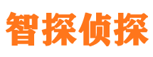 仪陇市侦探公司